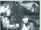 Brigitte Fontaine (2014, Vinyl NUEVO)