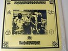 LED ZEPPELIN  Duckwalks and Lasers DOUBLE LIVE LP NYC '73 Ft Worth '77 Vinyl