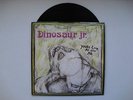 DINOSAUR JR. - YOU'RE LIVING ALL OVER ME - 12