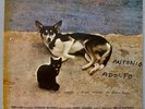 ANTONIO ADOLFO - 