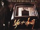 Life After Death - THE NOTORIOUS B.I.G.   RSD 2014 NEW VINYL  NUMBERED COPY