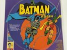 LP PICTURE DISC BATMAN AND ROBIN  THE SENSATIONAL GUITARS OF DAN AND DALE 2001