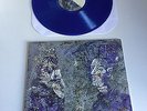 Mewithoutyou - Catch For Us The Foxes 12