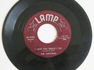 Vtg 1957 THE TANTONES I Love You Really I Do & No Matter 45 RPM Lamp Record 2002