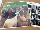 BEACH BOYS Pet sounds LP 1*UK Press CAPITOL Label 1966  MONO Surf STUPENDO
