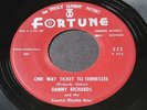 Danny Richards   One Way Ticket to Tennessee   Fortune Detroit hillbilly 45 HEAR