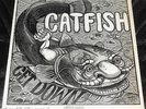 CATFISH “Get Down” Original 1970 Epic Blues Psych BOB HODGE M-