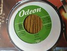 The Hollies Stay Ultra rare erste Single deutsche ODEON  Pop Beat 60er Org.