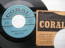 BUDDY HOLLY raining in my heart it doesn't mater anymore PROMO 45 CC141