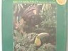 Walter Wanderly/Rain Forest/Verve/V8658//RVG/NM+