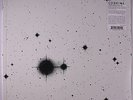 CODEINE: Frigid Stars LP (2 LPs, reissue, w/ cd of the album) Rock & Pop