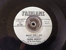 Black Rocker Blues 45  George Hughley & Cama Rockers  What Did I Do  Fairlane