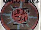 Temple of the Dog Hunger Strike 7