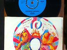 Queen, Bohemian Rhapsody/Sweet Lady Turkish 7