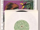 CHEMICAL IMBALANCE Mag #9 & VINYL 7