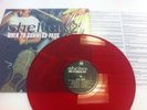 Shelter When 20 Summers Pass LP Red Wax nyhc Youth Of Today Yoga Vegan Punk