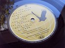 BIG COUNTRY THE SEER RARE PROMO COPY UK LP MINT TIME CAPSULE COPY