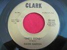 RARE COUNTRY BOPPER 45 - DAVID BARTON - SHE'S GONE / HEARD THE NEWS - CLARK 242