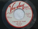 DELLS OH WHAT A NITE/I WANNA GO HOME 338 VEE JAY Promo 45 (NM)