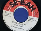 1245 T BIRD EXPERIENCE-ROOTS IN ROOTS-SE-LLAH -TONY STEER-75' REGGAE 7