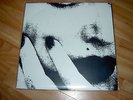 Sonic Youth - The Whitey Album (Swans, Lydia Lunch, Birthday Party) (Vinyl)