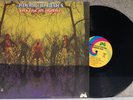 AMERICAN BLUES Do Their Thing ORIG 1968 US LP Uni PSYCH Blues ZZ TOP Dusty Hill