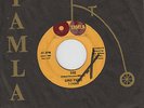 Northern Soul 45 GINO PARKS 
