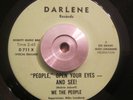 Soul/Funk 45 We The People - Function Underground DARLENE ORIG VG+ Psych RARE