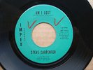 Rare Psych / Garage ( STEVE CARPENTER ) on Impex 45rpm '' Am i Lost '' - Mint-