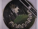 PAUL CHAIN VIOLET THEATRE: Paul Chain Violet Theatre LP (Italy, pic disc, seale
