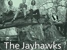 THE JAYHAWKS - TOMORROW THE GREEN GRASS (LTD.EDIT.2014 REISSUE)   VINYL LP NEU
