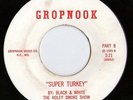 Rare Rock-Black & White The Holey Smoke Show-Gropnook Record-Super Turkey-LISTEN