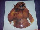 METALLICA   -   Jump In The Fire    (Vinyl-Monster-Shape)