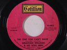SEBASTIAN WILLIAMS: The One You Can't Have / Shucks 45 Soul