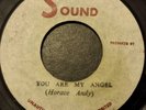 Horace Andy You Are My Angel Killer Roots 7