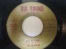 THE BENDERS: Can't Tame Me/Got Me Down...RARE GARAGE PSYCH ..
