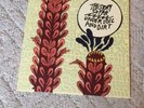 The Story So Far Under Soil And Dirt Rare Vinyl Lp Pop Punk Man Overboard