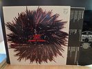 LP  Lizzy Mercier Descloux ?– Mambo Nassau : Philips ?– 6313 122 Vinyl