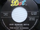 the SURF BUNNIES our surfer boys surf bunny beach DOT 45-16523 Girl group CC11