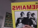 The Remains: LP (new rose)