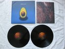 Pearl Jam - Self Titled Avocado Double LP Gatefold Original First Pressing Black