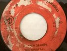 WINDFALL hammer of hope 45 AMERICAN MUSIC CORP --- CUCA garage pop --- LISTEN