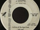 Anthony & The Aqua Lads 