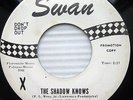 LINK WRAY the shadow knows / my Alberta WHITE LABEL PROMO Swan S-4171 45 C20