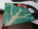 CATAPILLA CHANGES IN 1972 MINT ON VERTIGO SWIRL RARE