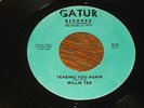Willie Tee - Teasing You Again 7