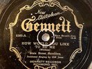 STATE STREET RAMBLERS GENNETT How Would You Like To Be Me/ Brown Skin Mama