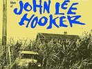 Country Blues Of John Lee Hooker - John Lee Hooker (2014, Vinyl NEW)