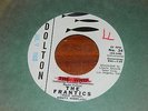 THE FRANTICS the whip KILLER SURF POPCORN INSTRO 45 CRAMPS LUX INTERIOR 45 HEAR