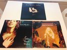 Surfacing, Fumbling Towards Ecstasy, & Freedom Sessions Sarah McLachlan vinyl